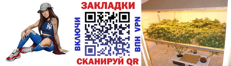 Где продают наркотики Казань ГАШИШ  Alpha PVP  Меф  МАРИХУАНА  Cocaine 