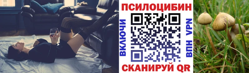 блэк спрут ONION  купить наркоту  Казань  Псилоцибиновые грибы Cubensis 